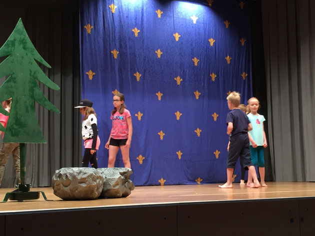 Der Zauberstei im Trollefäll 2018 - Foto 7