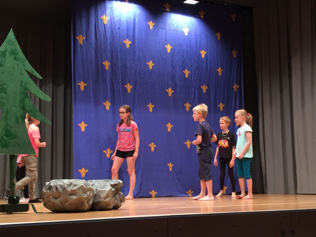 Der Zauberstei im Trollefäll 2018 - Foto 8