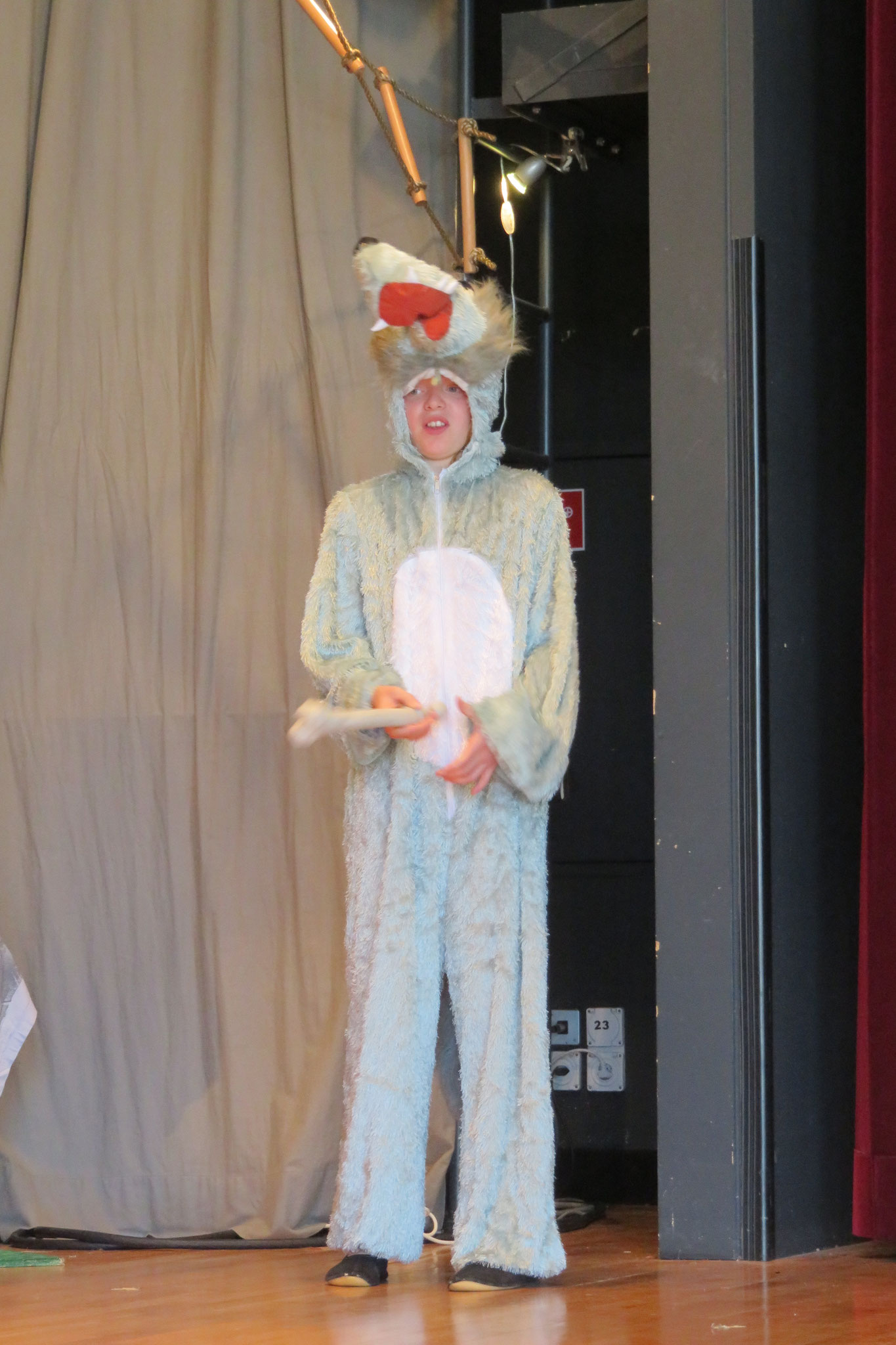 Das Dschungelbuch 2021 - Foto 37