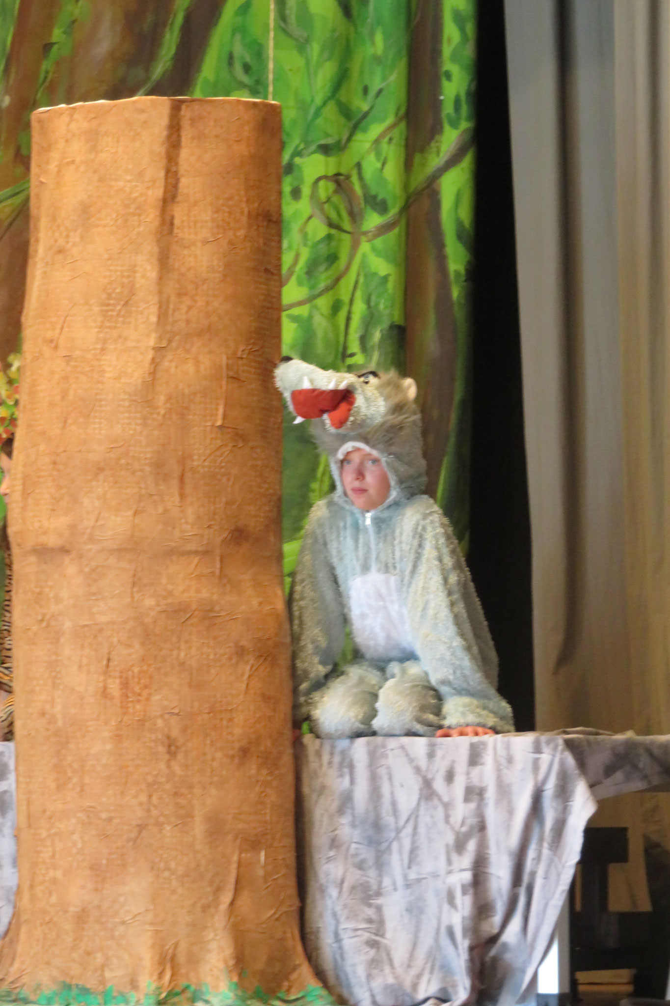 Das Dschungelbuch 2021 - Foto 41