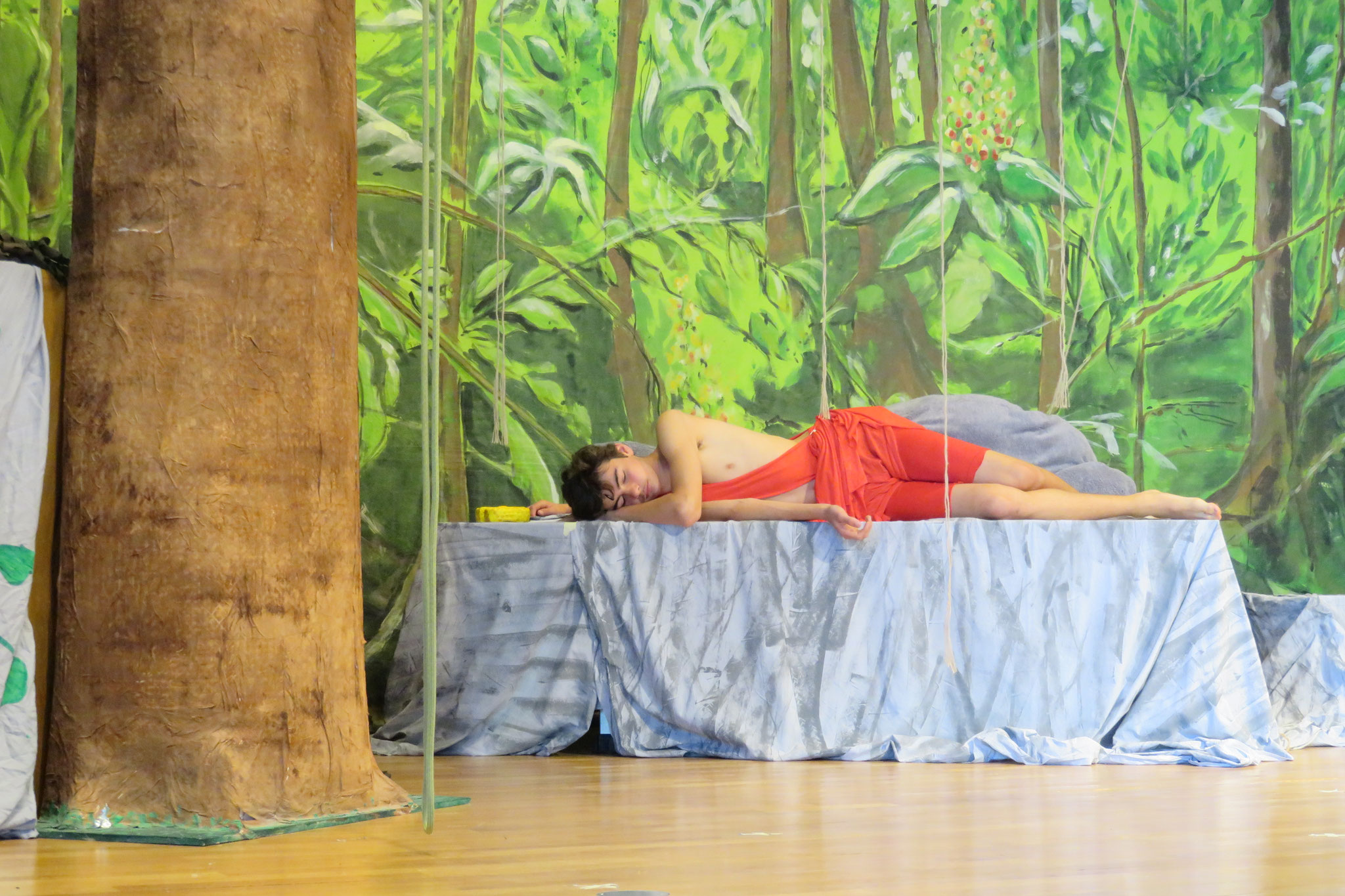 Das Dschungelbuch 2021 - Foto 52