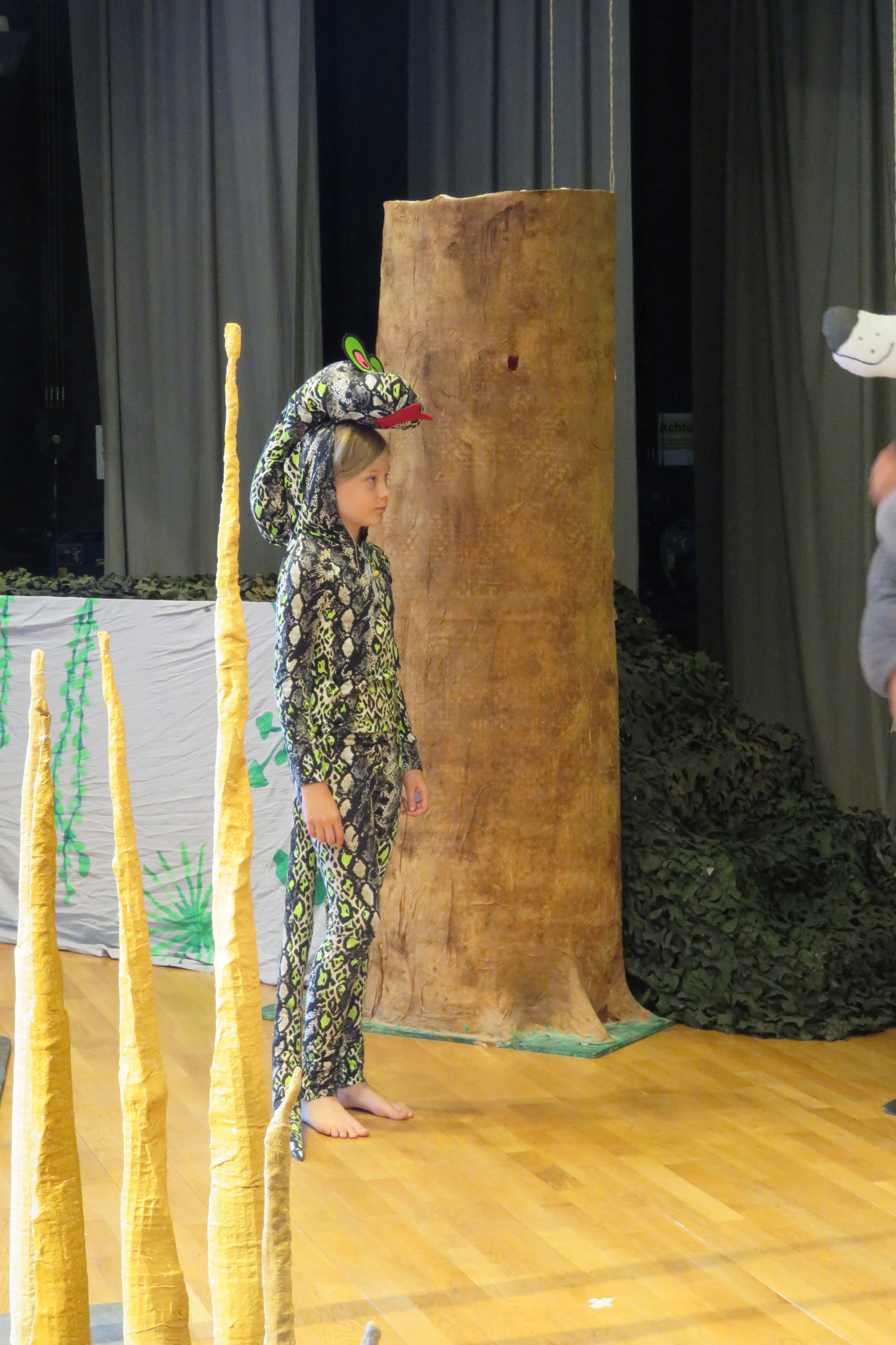 Das Dschungelbuch 2021 - Foto 67